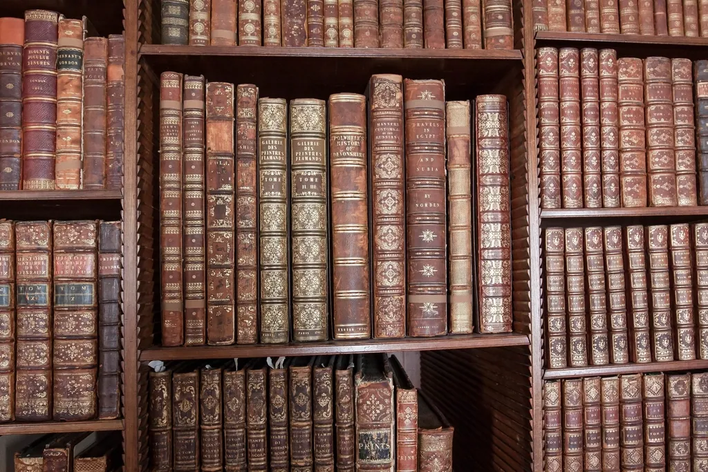 Lombadas de livros antigos enfileiradas em estante